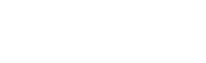 VLS
